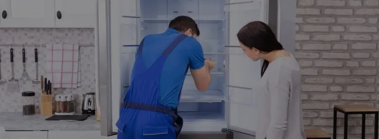 Ремонт холодильников Dex